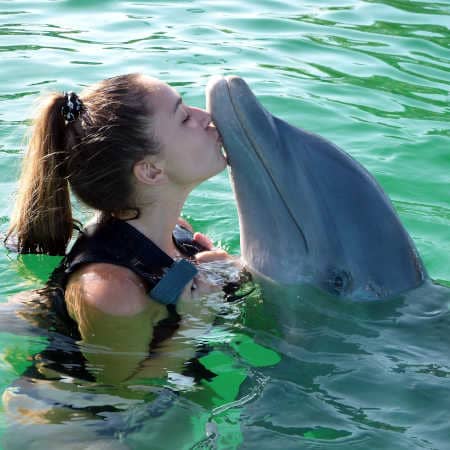 Delfine ein Delfin küsst eine junge Frau