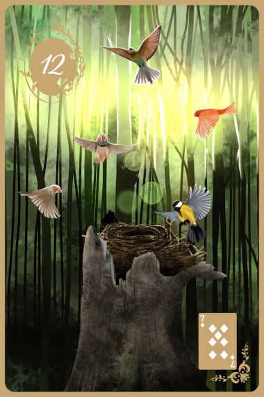 Karte 12 Die Vögel gratis online Kartenlegen mit den Lenormandkarten